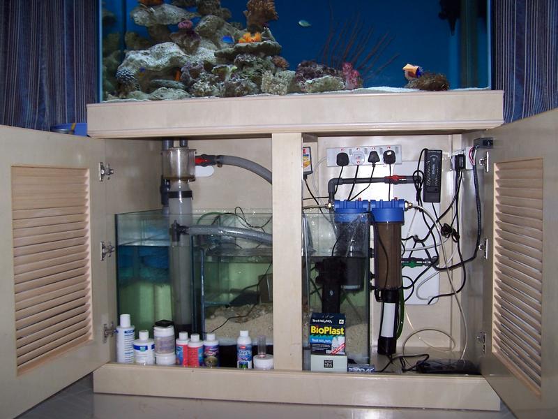 我家鱼缸,过滤泵打出的氧气出水面后不破,好多