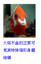 Text Box:  
K첰iScΨߵc
