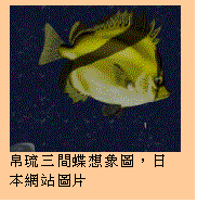 Text Box:  
[TQHϡA饻Ϥ
