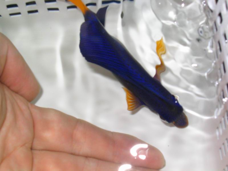 你好,我现在是一家蒲系民营医院做网络部主管